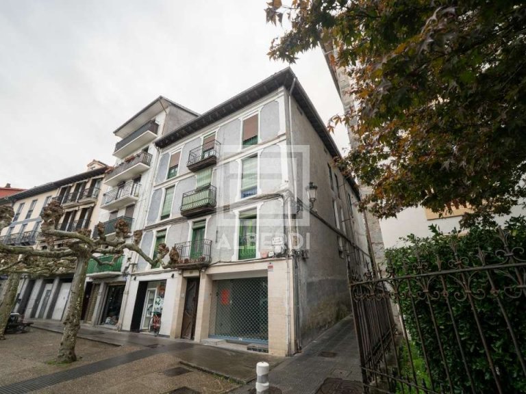 Kale Nagusian etxebizitza salgai